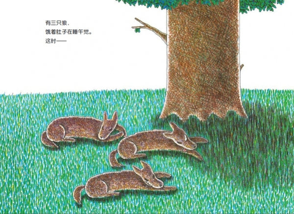 Miyanishi, Tatsuya's book sery about courage(Chinese edition)宫西达也勇气绘本(平装全6册)
