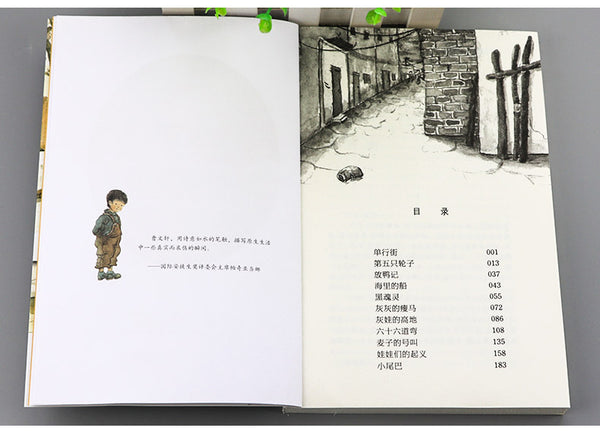 One way street :Pure Aesthetics series by Wenxuan Cao(Chinese edition)曹文轩纯美小说:单行街
