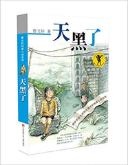 It is getting dark:Pure Aesthetics series by Wenxuan Cao 曹文轩纯美小说:天黑了