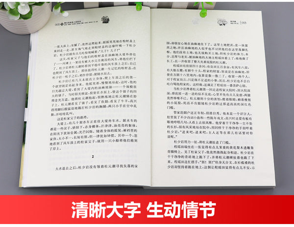 The Implication of Rain(Chinese edition):Pure Aesthetics series by Wenxuan Cao曹文轩纯美小说:狗牙雨