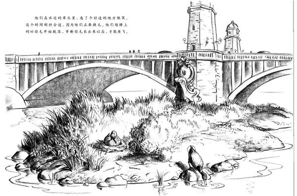 Make Way for Ducklings(Chinese edition)让路给小鸭子——(启发童书馆出品)