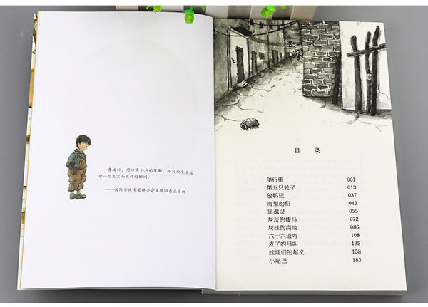 One way street :Pure Aesthetics series by Wenxuan Cao（Chinese edition）曹文轩纯美小说：单行街